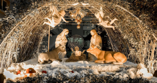 Không khí se se lạnh của mùa đông, báo hiệu một mùa Noel nữa đã đến cận kề, không khí Noel ngập tràn, lan tỏa khắp ngóc ngách, ngõ phố làm ai ai cũng nôn nao. Nhắc đến Noel người ta liền nhớ tới ông già Noel hay còn gọi là ông già tuyết. Ông già cao lớn và có cái bụng rất to, bộ râu trắng và cưỡi chiếc xe với những chú tuần lộc bay trên bầu trời, chở đầy những món quà lớn nhỏ đi phát cho trẻ em mọi nơi. Ngày lễ Noel là ngày nào 2021 và ý nghĩa của ngày Noel bạn đã biết chưa Nhưng ông già Noel có phải chỉ có trong truyền thuyết, và tại sao lễ Noel được tổ chức tận 2 ngày trong năm và ý nghĩa của chúng có gì đặc biệt cùng Lala tìm hiểu trong bài viết bài nhé! Noel là ngày gì? Ngày lễ Noel còn được gọi là lễ Thiên Chúa Giáng sinh, Giáng sinh hay Christmas là một ngày lễ kỷ niệm Chúa Giê-su được sinh ra tại Bethlehem, xứ Judea, nước Do Thái (ngày nay là 1 thành phố của Palestine), lúc bấy giờ thuộc Đế quốc La Mã, vào khoảng giữa năm 7 TCN và năm 2. Ý nghĩa ngày Noel Ngày Noel là của những người theo đạo Kitô giáo, nhằm kỷ niệm ngày sinh ra của người lãnh đạo tôn giáo mình, người mà họ cho là Thiên Chúa xuống thế làm người. Theo thời gian, qua các lễ hội của phương Tây, mọi người tổ chức lễ Giáng sinh ngày càng linh đình. Kết quả bây giờ lễ Giáng sinh được xem là một ngày lễ quốc tế, với ông già Noel, cây thông Noel và con tuần lộc. Ngoài ý nghĩa theo đạo Thiên Chúa, Noel là một ngày lễ gia đình, một ngày để tất cả các thành viên trong gia đình sum hợp, quây quần bên nhau, cùng nhau ăn bữa cơm thân mật gắn kết tình cảm, cùng bạn bè vui chơi, ca hát, ngồi kể chuyện cho nhau nghe cạnh bên cây thông, lò sưởi. Riêng đối với trẻ em rất thích ngày lễ này, bởi đêm Giáng sinh là 1 đêm kì điệu mà mọi điều ước của những đứa trẻ sẽ trở thành sự thật và nhận được rất nhiều quà, bánh, kẹo từ ông già Noel. Ngày lễ Noel cũng là một thông điệp của hoà bình: “Vinh danh Thượng Đế trên cao – Bình an cho người dưới thế”, đây là câu được hát bởi những thiên thần báo tin sự xuất hiện của vị cứu thế và Noel cũng là ngày người ta chia sẻ với những ai bị bỏ rơi, bị cô đơn, bệnh, già yếu,… Vậy ngày Noel là ngày mấy năm 2021 Cũng như mọi năm, Noel hay còn gọi là Lễ Giáng sinh 2021 năm nay chính thức được cử hành vào đêm thứ sáu ngày 24/12 đến hết thứ bảy ngày 25 tháng 12 năm 2021 theo lịch dương. Sự khác nhau của ngày 24/12 và 25/12 Hẳn có nhiều người băn khuăn, không hiểu tại sao lễ Noel lại diễn ra 2 ngày? Bởi theo người Do Thái, thời điểm tính một ngày là bắt đầu từ hoàng hôn. Noel diễn ra vào ngày 25 tháng 12 được gọi là lễ chính ngày, còn lễ tối ngày 24 tháng 12 gọi là lễ vọng. Lễ vọng thường thu hút nhiều người tham dự hơn. 1. Đêm 24/12 - ngày “lễ vọng” của Noel Theo sách Phúc Âm - một trong bốn quyển sách của Kinh Thánh Tân Ước mô tả, thì chúa Giê-su được sinh ra trong một đêm tối mùa đông lạnh, trong một chuồng ngựa. Vật chất thiếu thốn, đức mẹ đồng trinh Maria đã phải đặt ngài trên máng cỏ (bởi vậy sau này hình ảnh máng cỏ luôn xuất hiện trong các dịp giáng sinh). Đêm ấy, nơi chúa ra đời sáng rực cả bầu trời đêm. Những người mục đồng, những thiên thần trên trời cao đều quy tụ lại, chào đón đứa chúa hài đồng. Chúa Giê-su ra đời báo hiệu cho sự giải phỏng của người dân Do Thái, hay những người bị áp bức bóc lột. Từ đó đêm 24/12 được coi là thời điểm “lễ vọng” được tổ chức thu hút đông đảo người tham gia hơn. Vào đêm đó, tất cả các địa điểm như thánh đường hay mỗi gia đình đều trang trí hang đá với máng cỏ, bên trong có tượng chúa Hài đồng và tượng Đức Mẹ Maria. Ở xung quanh đó là những chú lừa, một số thiên thần,... Mặt khác, hình ảnh ngày 24/12 còn gắn liền với sự ra đời của cây thông Giáng sinh. Theo lịch sử, vào giữa năm 2000 và 1200 TCN, người ta đã nói về một loại cây thông Epicea được trang trí bởi hoa, quả và lúa mì gắn liền với ngày 24/12, ngày tái sinh của Mặt trời. 2. Ngày 25/12 - ngày lễ chính của Noel Câu chuyện về buổi sáng Noel được khởi nguồn từ lệnh cấm của chính quyền La Mã với các hoạt động Cơ Đốc giáo. Để tránh né, các tín đồ của Chúa đã bí mật tổ chức lễ Giáng sinh vào sáng ngày 25/12, trùng đúng với ngày lễ Thần Mặt Trời (Feast of the Sol invictus) của người La Mã. Nhờ vậy mà trong một thời gian dài, những người dân Cơ Đốc hân hoan đón mừng ngày chú Giê-su ra đời mà không gặp phải bất kỳ sự cản trở nào. Sau đó vào khoảng năm 312, hoàng đế La Mã Constantine đệ I đã quyết định bỏ đa thần giáo và theo Cơ Đốc giáo. Từ đó, những người dân Cơ Đốc đã có thể thoải mái ăn mừng ngày chúa ra đời. Nhưng cũng phải mãi đến những năm 354, ngày 25/12 mới chính thức trở thành ngày lễ giáng sinh của chúa Giê-su và như vậy là bạn đã biết noel chính xác là ngày nào rồi đúng không nè. Ông già Noel, hay còn gọi là Ông già tuyết là một nhân tố quan trọng không thể thiếu trong ngày Noel Có nhiều câu hỏi về ông già noel được đặt ra và ông già noel có thật hay không? Cùng Lala tìm hiểu sự tích về ông già noel ngay nhé! Truyền thuyết về Ông già noel là một hình ảnh được tưởng tượng từ những lễ Đông chí (ngày 21 tháng 12). Cái chụp ở nơi ống khói chứa đầy quà cáp, một ông già mặc bộ đồ màu đỏ viền trắng, thắt lưng da đen, đội chiếc nón đỏ với chòm râu dài trắng, bộ mặt hóm hỉnh, tiếng cười "hô hô hô", được mọi người biết đến, đặc biệt phổ biến ở các nước phương Tây. Ông già Noel tên gì? Trong tiếng Anh, Ông già noel được gọi là "Santa Claus", được cho là bắt nguồn từ tiếng Hà Lan Sinter Klaas, dựa trên nguyên mẫu về một nhân vật có thật ở thế kỷ thứ 4 là Thánh Nicolaus - thánh bổn mạng cho trẻ em. Trong tiếng Việt, trong thời Pháp thuộc, người Pháp gọi ông là Le Père Noel (ông Cha, linh mục Noel), từ đó tiếng Việt gọi tắt là "Ông già noel", ngoài ra còn được gọi là "Ông già Tuyết" Ông già Noel sống ở đâu? Nhiều người cho rằng quê hương của Ông già Noel ở các nước Bắc Âu như Đan Mạch, Thụy Điển, Na Uy, Iceland, Phần Lan,.. cùng các chú lùn, gần vùng Bắc Cực lạnh giá. Ông dành đa số thời gian để chuẩn bị nhiều món quà, đồ chơi cho trẻ em với sự giúp đỡ của những chú lùn. Mỗi mùa Noel, ông nhận được rất nhiều thư từ trẻ em khắp thế giới. Đến đêm Noel, ông lại bắt đầu cuộc hành trình của mình với cỗ xe kéo bởi chín con tuần lộc để mang quà và đồ chơi cho các thiếu nhi. Có nhiều bộ phim nổi tiếng của Hollywood như The Polar Express về ông già Noel cũng củng cố niềm tin thơ ngây này. Câu chuyện về ông già Noel Lịch sử Ông già Noel được cho là hóa thân của Thánh Nicolas ở thành Myra (280 - 343), Thổ Nhĩ Kỳ. Vị Thánh đó có tên gọi Nicolas. Ông được sinh ra trong một gia đình giàu có ở Bắc Âu, cả cuộc đời Thánh Nicholas sống trong sự hy sinh, tận tụy và đầy lòng yêu thương. Ngay từ khi còn nhỏ, ông được dạy dỗ và thấm nhuần kinh Thánh, một lòng tin vào Chúa, theo Đạo mà sống rất mực nhân hậu và đạo đức. Ông đã được dân chúng bầu làm Giám Mục cho thành phố Myra. Thánh Nicholas bị giam trong thời gian bắt bớ đạo của Hoàng Đế Diocletian, nhưng sau đó ông được Hoàng Đế Constantine thả ra. Sau đó, ông dành những thời gian ngắn ngủi còn lại của cuộc đời để giúp đỡ người nghèo khổ, những hoàn cảnh khó khăn, bệnh hoạn trong cuộc sống. Ông chia sẻ với cuộc sống trong âm thầm và lặng lẽ, thường cải trang để đem các món quà đến cho các em nhỏ nghèo trong những làng mạc. Có lần Thánh Nicholas tặng vàng cho một người cha nghèo để làm của hồi môn cho ba đứa con gái. Ông qua đời vào năm 314, lúc 34 tuổi. Giáng sinh đã thực sự đến rất gần với chúng ta rồi! Hãy bắt tay vào trang trí cho ngôi nhà của mình thật lộng lẫy, tràn đầy màu sắc để đón mùa Giáng sinh bình an thôi nào! Nhưng mua các đồ trang trí Noel ở đâu rẻ mà lại đẹp? Cùng theo chân Ông già noel đến ngay Lala Shop bạn nhé! Lala Shop - cửa hàng chuyên phân phối sỉ và lẻ các mẫu decal trang trí Noel, phụ kiện trang trí Noel, cây thông noel và dịch vụ trang trí cây thông noel chuyên nghiệp tại nhà. Với nhiều mẫu cây thông Noel từ đơn giản đến cầu kì với đa dạng kích thước và mẫu mã khác nhau. Trang trí Noel theo xu hướng hiện đại sẽ không giới hạn mỗi nhà chỉ 1 cây thông to đặt ở trung tâm hay trước cửa nhà như trước đây nữa. Nên tùy theo không gian, tùy từng sở thích mà bạn có thể trang trí mỗi phòng trong nhà một cây thông mini để vừa phù hợp với không gian phòng, vừa tạo cảm giác ngồi góc nào trong nhà cũng thấy không khí Giáng sinh ngập tràn, ấm cúng. Ngoài ra còn có đa dạng các sản phẩm trang trí cây thông noel như quả châu, ngôi sao trang trí, dây treo cây thông, gậy xoắn, chuông treo, hộp quà, người tuyết treo, vòng nguyệt quế,... ngập tràn sắc màu Giáng sinh. Các phụ kiện trang trí Noel tại Lala luôn là những sản phẩm có mẫu mã mới nhất, phong phú về chủng loại, đa dạng về màu sắc và đặc biệt an toàn tuyệt đối với người sử dụng. Chỉ với khoảng chi phí bé xíu thôi là bạn sẽ có ngay những phụ kiện xinh xắn, giúp tô điểm cho cây thông giáng sinh thêm phần tuyệt sắc và lung linh. Với tiêu chí "Không chỉ khách hàng đến với mình một lần" Lala đã xây dựng nên thương hiệu, với chất lượng sản phẩm, dịch vụ tốt nhất, đem đến cho khách hàng những trải nghiệm tuyệt vời nhất. Đội ngũ nhân viên Lala Shop được đào tạo bài bản, phục vụ chuyên nghiệp, chu đáo, tư vấn nhiệt tình cho khách hàng có sự lựa chọn ưng ý nhất. Bên cạnh đó, shop còn có chương trình quà tặng cho khách hàng may mắn, đặc biệt là các mùa lễ lớn với những chương trình tri ân khách hàng vô cùng hấp dẫn, đến ngay Lala Shop và rước về những món đồ phụ kiện trang trí cây thông Noel tràn ngập màu sắc và nhận ưu đãi hấp dẫn ngay hôm nay bạn nhé!