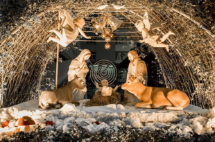 Không khí se se lạnh của mùa đông, báo hiệu một mùa Noel nữa đã đến cận kề, không khí Noel ngập tràn, lan tỏa khắp ngóc ngách, ngõ phố làm ai ai cũng nôn nao. Nhắc đến Noel người ta liền nhớ tới ông già Noel hay còn gọi là ông già tuyết. Ông già cao lớn và có cái bụng rất to, bộ râu trắng và cưỡi chiếc xe với những chú tuần lộc bay trên bầu trời, chở đầy những món quà lớn nhỏ đi phát cho trẻ em mọi nơi. Ngày lễ Noel là ngày nào 2021 và ý nghĩa của ngày Noel bạn đã biết chưa Nhưng ông già Noel có phải chỉ có trong truyền thuyết, và tại sao lễ Noel được tổ chức tận 2 ngày trong năm và ý nghĩa của chúng có gì đặc biệt cùng Lala tìm hiểu trong bài viết bài nhé! Noel là ngày gì? Ngày lễ Noel còn được gọi là lễ Thiên Chúa Giáng sinh, Giáng sinh hay Christmas là một ngày lễ kỷ niệm Chúa Giê-su được sinh ra tại Bethlehem, xứ Judea, nước Do Thái (ngày nay là 1 thành phố của Palestine), lúc bấy giờ thuộc Đế quốc La Mã, vào khoảng giữa năm 7 TCN và năm 2. Ý nghĩa ngày Noel Ngày Noel là của những người theo đạo Kitô giáo, nhằm kỷ niệm ngày sinh ra của người lãnh đạo tôn giáo mình, người mà họ cho là Thiên Chúa xuống thế làm người. Theo thời gian, qua các lễ hội của phương Tây, mọi người tổ chức lễ Giáng sinh ngày càng linh đình. Kết quả bây giờ lễ Giáng sinh được xem là một ngày lễ quốc tế, với ông già Noel, cây thông Noel và con tuần lộc. Ngoài ý nghĩa theo đạo Thiên Chúa, Noel là một ngày lễ gia đình, một ngày để tất cả các thành viên trong gia đình sum hợp, quây quần bên nhau, cùng nhau ăn bữa cơm thân mật gắn kết tình cảm, cùng bạn bè vui chơi, ca hát, ngồi kể chuyện cho nhau nghe cạnh bên cây thông, lò sưởi. Riêng đối với trẻ em rất thích ngày lễ này, bởi đêm Giáng sinh là 1 đêm kì điệu mà mọi điều ước của những đứa trẻ sẽ trở thành sự thật và nhận được rất nhiều quà, bánh, kẹo từ ông già Noel. Ngày lễ Noel cũng là một thông điệp của hoà bình: “Vinh danh Thượng Đế trên cao – Bình an cho người dưới thế”, đây là câu được hát bởi những thiên thần báo tin sự xuất hiện của vị cứu thế và Noel cũng là ngày người ta chia sẻ với những ai bị bỏ rơi, bị cô đơn, bệnh, già yếu,… Vậy ngày Noel là ngày mấy năm 2021 Cũng như mọi năm, Noel hay còn gọi là Lễ Giáng sinh 2021 năm nay chính thức được cử hành vào đêm thứ sáu ngày 24/12 đến hết thứ bảy ngày 25 tháng 12 năm 2021 theo lịch dương. Sự khác nhau của ngày 24/12 và 25/12 Hẳn có nhiều người băn khuăn, không hiểu tại sao lễ Noel lại diễn ra 2 ngày? Bởi theo người Do Thái, thời điểm tính một ngày là bắt đầu từ hoàng hôn. Noel diễn ra vào ngày 25 tháng 12 được gọi là lễ chính ngày, còn lễ tối ngày 24 tháng 12 gọi là lễ vọng. Lễ vọng thường thu hút nhiều người tham dự hơn. 1. Đêm 24/12 - ngày “lễ vọng” của Noel Theo sách Phúc Âm - một trong bốn quyển sách của Kinh Thánh Tân Ước mô tả, thì chúa Giê-su được sinh ra trong một đêm tối mùa đông lạnh, trong một chuồng ngựa. Vật chất thiếu thốn, đức mẹ đồng trinh Maria đã phải đặt ngài trên máng cỏ (bởi vậy sau này hình ảnh máng cỏ luôn xuất hiện trong các dịp giáng sinh). Đêm ấy, nơi chúa ra đời sáng rực cả bầu trời đêm. Những người mục đồng, những thiên thần trên trời cao đều quy tụ lại, chào đón đứa chúa hài đồng. Chúa Giê-su ra đời báo hiệu cho sự giải phỏng của người dân Do Thái, hay những người bị áp bức bóc lột. Từ đó đêm 24/12 được coi là thời điểm “lễ vọng” được tổ chức thu hút đông đảo người tham gia hơn. Vào đêm đó, tất cả các địa điểm như thánh đường hay mỗi gia đình đều trang trí hang đá với máng cỏ, bên trong có tượng chúa Hài đồng và tượng Đức Mẹ Maria. Ở xung quanh đó là những chú lừa, một số thiên thần,... Mặt khác, hình ảnh ngày 24/12 còn gắn liền với sự ra đời của cây thông Giáng sinh. Theo lịch sử, vào giữa năm 2000 và 1200 TCN, người ta đã nói về một loại cây thông Epicea được trang trí bởi hoa, quả và lúa mì gắn liền với ngày 24/12, ngày tái sinh của Mặt trời. 2. Ngày 25/12 - ngày lễ chính của Noel Câu chuyện về buổi sáng Noel được khởi nguồn từ lệnh cấm của chính quyền La Mã với các hoạt động Cơ Đốc giáo. Để tránh né, các tín đồ của Chúa đã bí mật tổ chức lễ Giáng sinh vào sáng ngày 25/12, trùng đúng với ngày lễ Thần Mặt Trời (Feast of the Sol invictus) của người La Mã. Nhờ vậy mà trong một thời gian dài, những người dân Cơ Đốc hân hoan đón mừng ngày chú Giê-su ra đời mà không gặp phải bất kỳ sự cản trở nào. Sau đó vào khoảng năm 312, hoàng đế La Mã Constantine đệ I đã quyết định bỏ đa thần giáo và theo Cơ Đốc giáo. Từ đó, những người dân Cơ Đốc đã có thể thoải mái ăn mừng ngày chúa ra đời. Nhưng cũng phải mãi đến những năm 354, ngày 25/12 mới chính thức trở thành ngày lễ giáng sinh của chúa Giê-su và như vậy là bạn đã biết noel chính xác là ngày nào rồi đúng không nè. Ông già Noel, hay còn gọi là Ông già tuyết là một nhân tố quan trọng không thể thiếu trong ngày Noel Có nhiều câu hỏi về ông già noel được đặt ra và ông già noel có thật hay không? Cùng Lala tìm hiểu sự tích về ông già noel ngay nhé! Truyền thuyết về Ông già noel là một hình ảnh được tưởng tượng từ những lễ Đông chí (ngày 21 tháng 12). Cái chụp ở nơi ống khói chứa đầy quà cáp, một ông già mặc bộ đồ màu đỏ viền trắng, thắt lưng da đen, đội chiếc nón đỏ với chòm râu dài trắng, bộ mặt hóm hỉnh, tiếng cười "hô hô hô", được mọi người biết đến, đặc biệt phổ biến ở các nước phương Tây. Ông già Noel tên gì? Trong tiếng Anh, Ông già noel được gọi là "Santa Claus", được cho là bắt nguồn từ tiếng Hà Lan Sinter Klaas, dựa trên nguyên mẫu về một nhân vật có thật ở thế kỷ thứ 4 là Thánh Nicolaus - thánh bổn mạng cho trẻ em. Trong tiếng Việt, trong thời Pháp thuộc, người Pháp gọi ông là Le Père Noel (ông Cha, linh mục Noel), từ đó tiếng Việt gọi tắt là "Ông già noel", ngoài ra còn được gọi là "Ông già Tuyết" Ông già Noel sống ở đâu? Nhiều người cho rằng quê hương của Ông già Noel ở các nước Bắc Âu như Đan Mạch, Thụy Điển, Na Uy, Iceland, Phần Lan,.. cùng các chú lùn, gần vùng Bắc Cực lạnh giá. Ông dành đa số thời gian để chuẩn bị nhiều món quà, đồ chơi cho trẻ em với sự giúp đỡ của những chú lùn. Mỗi mùa Noel, ông nhận được rất nhiều thư từ trẻ em khắp thế giới. Đến đêm Noel, ông lại bắt đầu cuộc hành trình của mình với cỗ xe kéo bởi chín con tuần lộc để mang quà và đồ chơi cho các thiếu nhi. Có nhiều bộ phim nổi tiếng của Hollywood như The Polar Express về ông già Noel cũng củng cố niềm tin thơ ngây này. Câu chuyện về ông già Noel Lịch sử Ông già Noel được cho là hóa thân của Thánh Nicolas ở thành Myra (280 - 343), Thổ Nhĩ Kỳ. Vị Thánh đó có tên gọi Nicolas. Ông được sinh ra trong một gia đình giàu có ở Bắc Âu, cả cuộc đời Thánh Nicholas sống trong sự hy sinh, tận tụy và đầy lòng yêu thương. Ngay từ khi còn nhỏ, ông được dạy dỗ và thấm nhuần kinh Thánh, một lòng tin vào Chúa, theo Đạo mà sống rất mực nhân hậu và đạo đức. Ông đã được dân chúng bầu làm Giám Mục cho thành phố Myra. Thánh Nicholas bị giam trong thời gian bắt bớ đạo của Hoàng Đế Diocletian, nhưng sau đó ông được Hoàng Đế Constantine thả ra. Sau đó, ông dành những thời gian ngắn ngủi còn lại của cuộc đời để giúp đỡ người nghèo khổ, những hoàn cảnh khó khăn, bệnh hoạn trong cuộc sống. Ông chia sẻ với cuộc sống trong âm thầm và lặng lẽ, thường cải trang để đem các món quà đến cho các em nhỏ nghèo trong những làng mạc. Có lần Thánh Nicholas tặng vàng cho một người cha nghèo để làm của hồi môn cho ba đứa con gái. Ông qua đời vào năm 314, lúc 34 tuổi. Giáng sinh đã thực sự đến rất gần với chúng ta rồi! Hãy bắt tay vào trang trí cho ngôi nhà của mình thật lộng lẫy, tràn đầy màu sắc để đón mùa Giáng sinh bình an thôi nào! Nhưng mua các đồ trang trí Noel ở đâu rẻ mà lại đẹp? Cùng theo chân Ông già noel đến ngay Lala Shop bạn nhé! Lala Shop - cửa hàng chuyên phân phối sỉ và lẻ các mẫu decal trang trí Noel, phụ kiện trang trí Noel, cây thông noel và dịch vụ trang trí cây thông noel chuyên nghiệp tại nhà. Với nhiều mẫu cây thông Noel từ đơn giản đến cầu kì với đa dạng kích thước và mẫu mã khác nhau. Trang trí Noel theo xu hướng hiện đại sẽ không giới hạn mỗi nhà chỉ 1 cây thông to đặt ở trung tâm hay trước cửa nhà như trước đây nữa. Nên tùy theo không gian, tùy từng sở thích mà bạn có thể trang trí mỗi phòng trong nhà một cây thông mini để vừa phù hợp với không gian phòng, vừa tạo cảm giác ngồi góc nào trong nhà cũng thấy không khí Giáng sinh ngập tràn, ấm cúng. Ngoài ra còn có đa dạng các sản phẩm trang trí cây thông noel như quả châu, ngôi sao trang trí, dây treo cây thông, gậy xoắn, chuông treo, hộp quà, người tuyết treo, vòng nguyệt quế,... ngập tràn sắc màu Giáng sinh. Các phụ kiện trang trí Noel tại Lala luôn là những sản phẩm có mẫu mã mới nhất, phong phú về chủng loại, đa dạng về màu sắc và đặc biệt an toàn tuyệt đối với người sử dụng. Chỉ với khoảng chi phí bé xíu thôi là bạn sẽ có ngay những phụ kiện xinh xắn, giúp tô điểm cho cây thông giáng sinh thêm phần tuyệt sắc và lung linh. Với tiêu chí "Không chỉ khách hàng đến với mình một lần" Lala đã xây dựng nên thương hiệu, với chất lượng sản phẩm, dịch vụ tốt nhất, đem đến cho khách hàng những trải nghiệm tuyệt vời nhất. Đội ngũ nhân viên Lala Shop được đào tạo bài bản, phục vụ chuyên nghiệp, chu đáo, tư vấn nhiệt tình cho khách hàng có sự lựa chọn ưng ý nhất. Bên cạnh đó, shop còn có chương trình quà tặng cho khách hàng may mắn, đặc biệt là các mùa lễ lớn với những chương trình tri ân khách hàng vô cùng hấp dẫn, đến ngay Lala Shop và rước về những món đồ phụ kiện trang trí cây thông Noel tràn ngập màu sắc và nhận ưu đãi hấp dẫn ngay hôm nay bạn nhé!