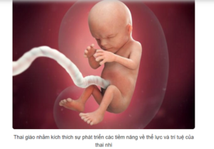 Những điều cần biết về thai giáo