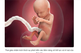 Những điều cần biết về thai giáo